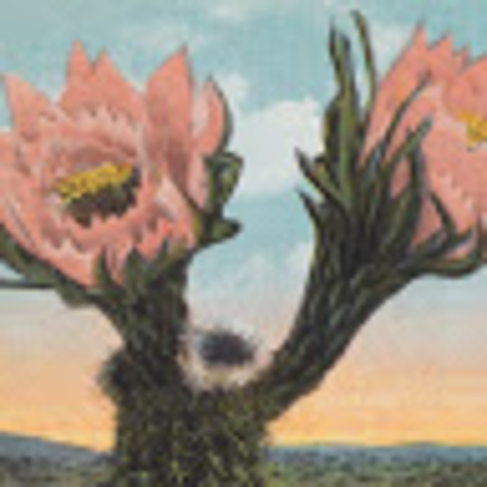 Meet your Posher, Carly